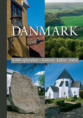 Danmark af Søren Olsen