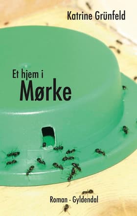 Et hjem i Mørke af Katrine Grünfeld