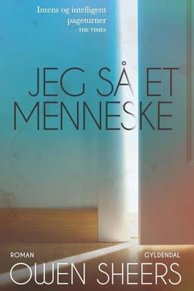 Jeg så et menneske af Owen Sheers