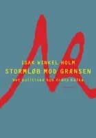 Stormløb mod grænsen