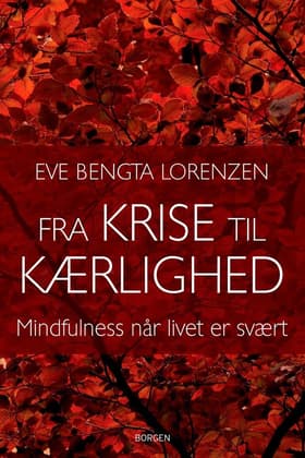 Fra krise til kærlighed af Eve Bengta Lorenzen