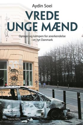 Vrede unge mænd af Aydin Soei