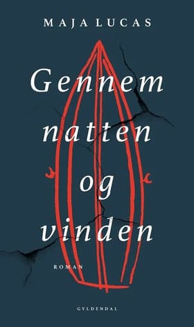 Gennem natten og vinden af Maja Lucas