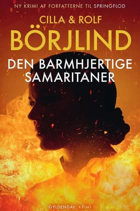 Den barmhjertige samaritaner af Jan Christensen