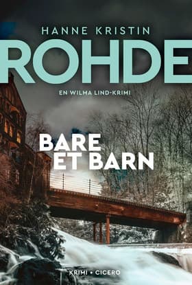 Bare et barn af Hanne Kristin Rohde