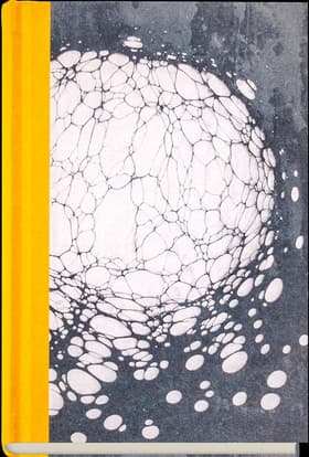 Parerga og Paralipomena I, 2 af Arthur Schopenhauer