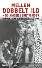 Mellem dobbelt ild - og andre beretninger
