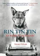 Rin Tin Tin