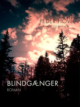 Blindgænger af Peder Hove