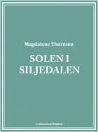 Solen i Siljedalen