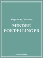 Mindre fortællinger