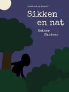 Sikke en nat