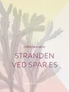 Stranden ved Spar Es