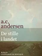 De stille i landet