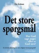 Det store spørgsmål
