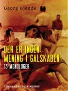 Der er ingen mening i galskaben: 13 monologer