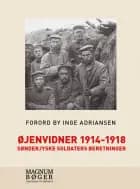 Øjenvidner 1914-1918 - sønderjyske soldaters beretninger