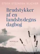 Brudstykker af en landsbydegns dagbog