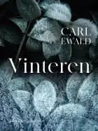 Vinteren