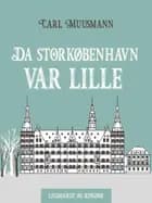 Da Storkøbenhavn var lille