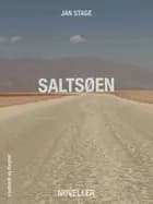 Saltsøen