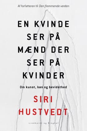 En kvinde ser på mænd der ser på kvinder af Siri Hustvedt
