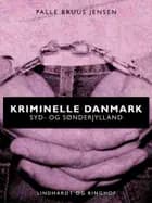 Kriminelle Danmark