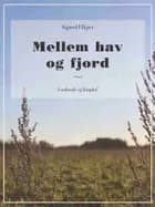 Mellem hav og fjord