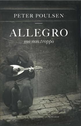 Allegro ma non troppo af Peter Poulsen