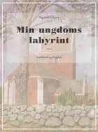 Min ungdoms labyrint