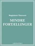 Mindre fortællinger