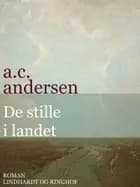 De stille i landet