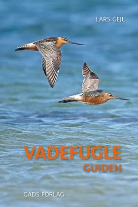 Vadefugle af Lars Gejl