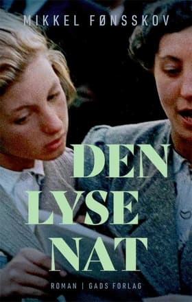 Den lyse nat af Mikkel Fønsskov