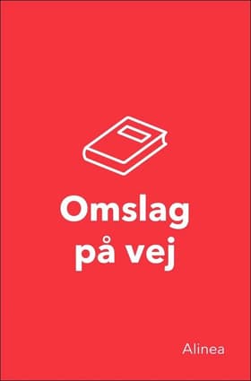 Ny Staveraket, Fase 5, Retskrivning 1 af Elsebeth Otzen