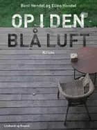 Op i den blå luft