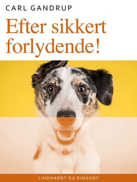 Efter sikkert forlydende! af Carl Gandrup