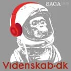 Videnskab.dk #14 - Den dystre hemmelighed om kunstig intelligens