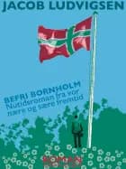 Befri Bornholm. Nutidsroman fra vor nære og sære fremtid