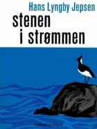 Stenen i strømmen