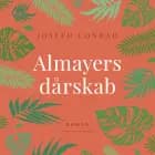Almayers dårskab