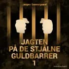 Jagten på de stjålne guldbarrer 1