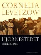 Hjørnestedet. Fortælling
