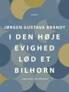 I den høje evighed lød et bilhorn