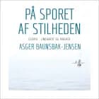 På sporet af stilheden