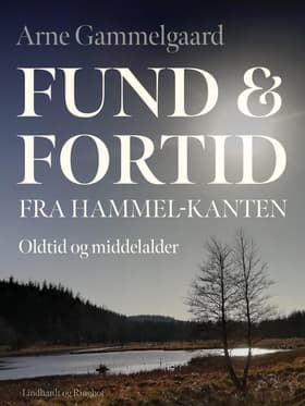 Fund og fortid fra Hammel-kanten. Oldtid og middelalder af Arne Gammelgaard