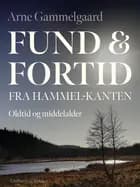 Fund og fortid fra Hammel-kanten. Oldtid og middelalder