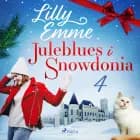 Juleblues i Snowdonia: 4