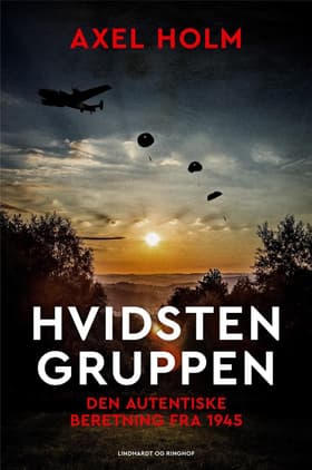 Hvidsten gruppen af Axel Holm