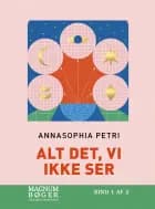 Alt det, vi ikke ser